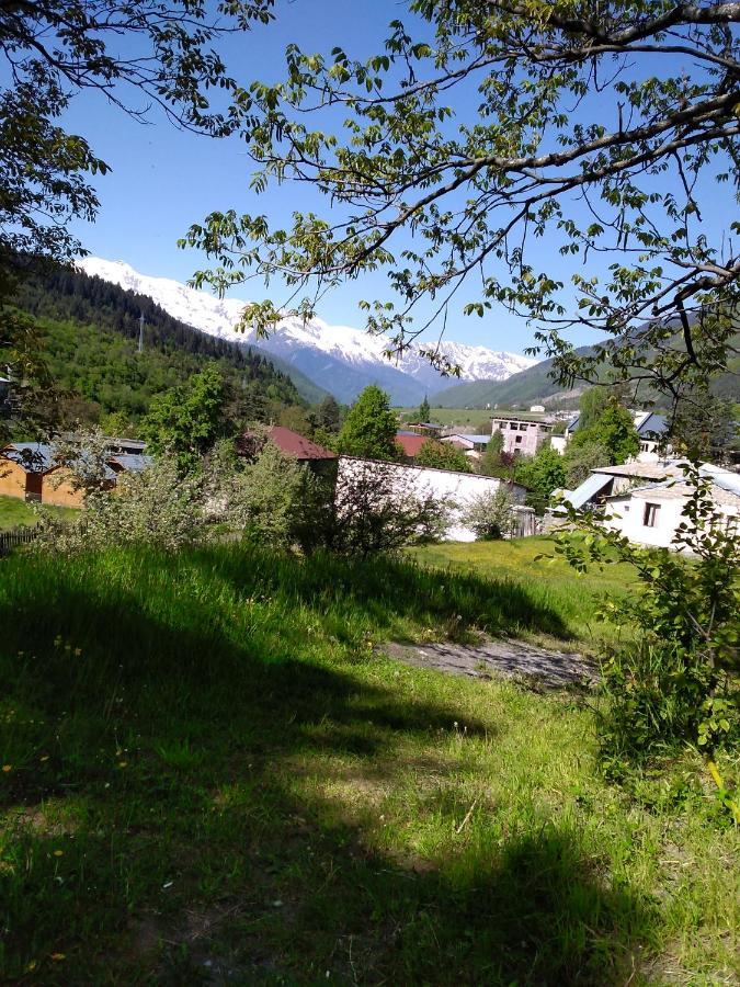 Gogi Jafaridze'S Guesthouse Mestia Exteriör bild